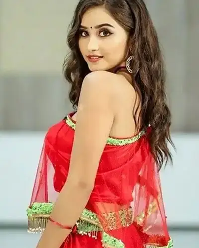 Call Girls Service Krishnarajpet